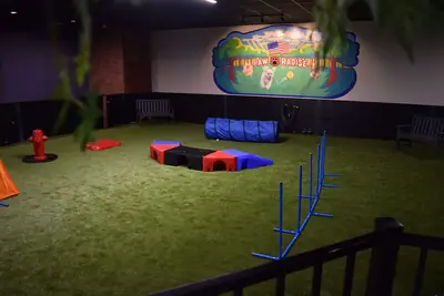 Evcil Hayvan Dostu Kafe ve Kapalı Köpek Parkı