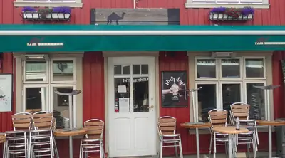 Dromedary Coffee Shop