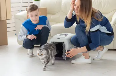 Introducing a New Pet into Your Home