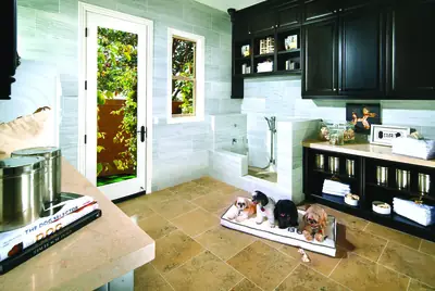 Pet Ownership in Rental and Shared Housing