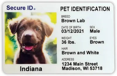 Liability and handling procedures when a pet is lost or wandering