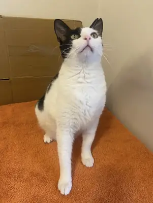 Notre adorable enfant Ömür