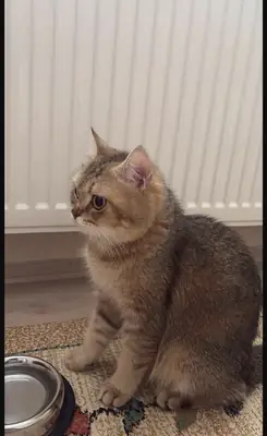 Looking for a new home