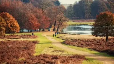 Richmond Park..