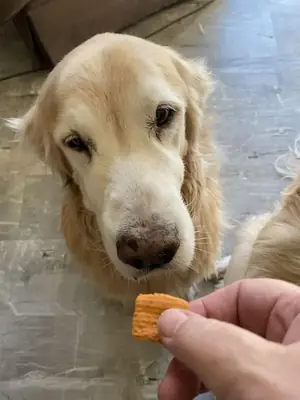 Полностью вакцини..