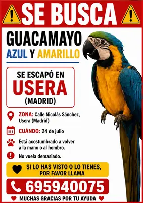Guacamayo perdido
