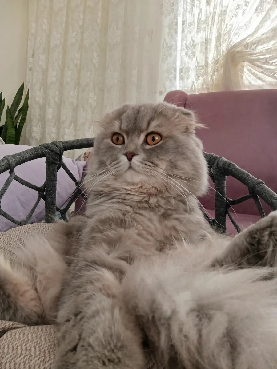 Семейный дружелюбный милый любопытный