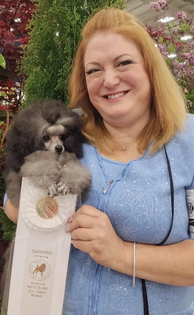 🐩 Adorable Poodle Puppies – 2 Males & 2 Females Available |