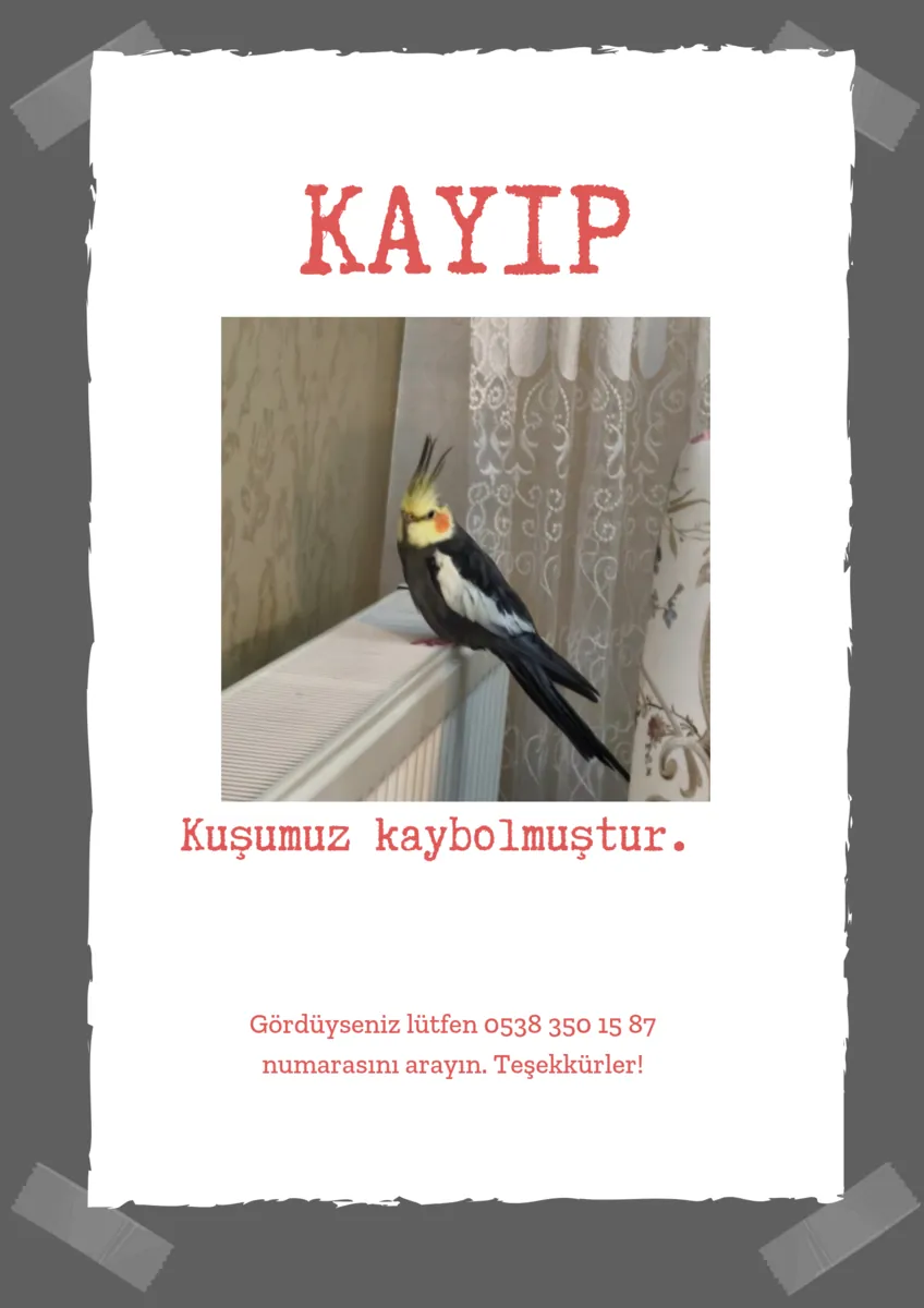 Lost Bağcılar Kazım Karabekir