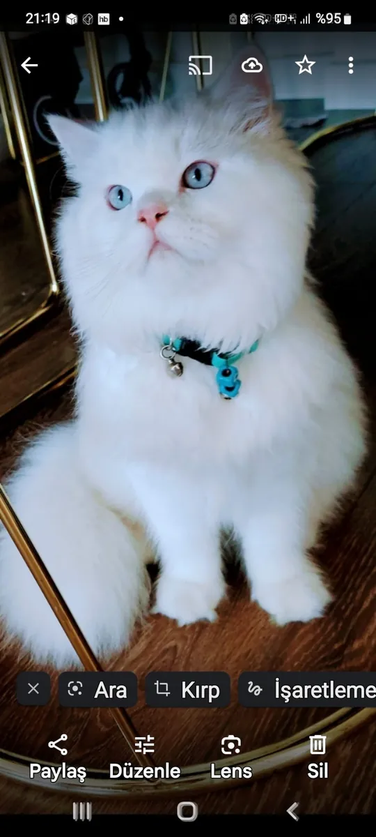 A gentle and shy baby