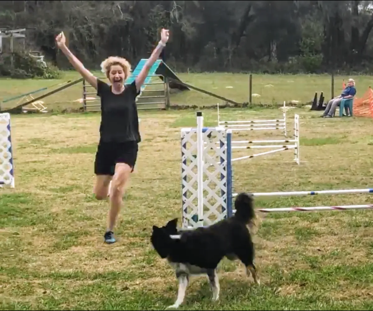 经验丰富的训犬师提供犬类训练 - Berlin