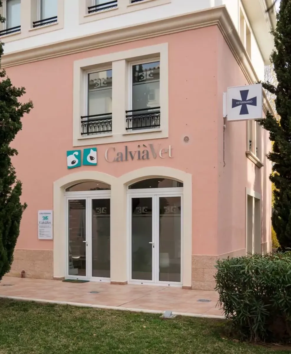 CalviàVet 兽医诊所 - Madrid