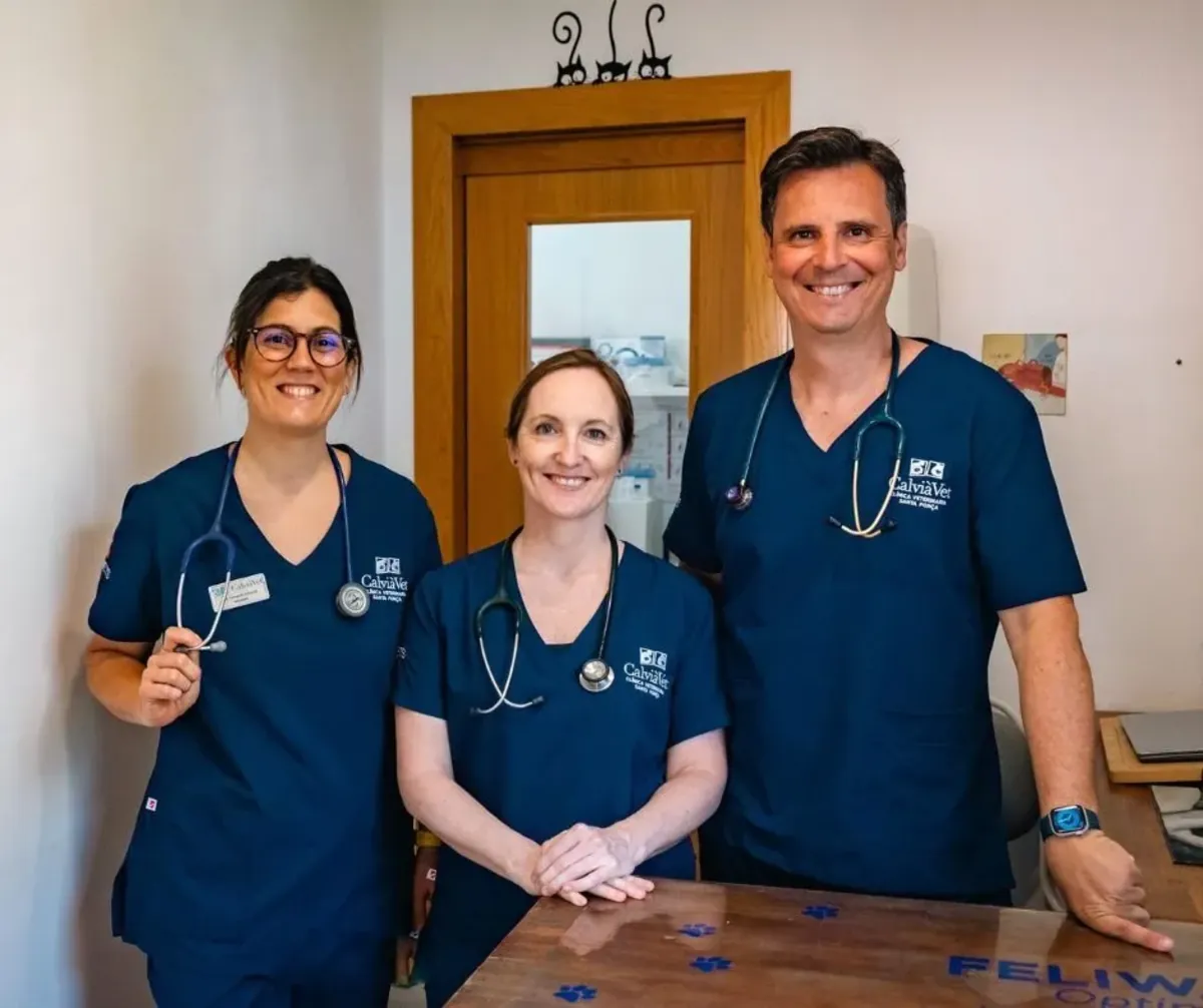 CalviàVet 兽医诊所 - Madrid