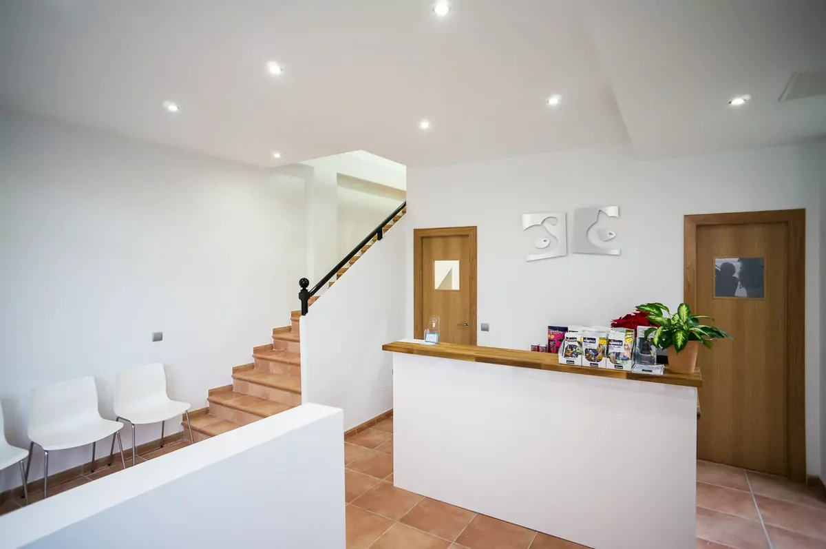 CalviàVet 兽医诊所 - Madrid