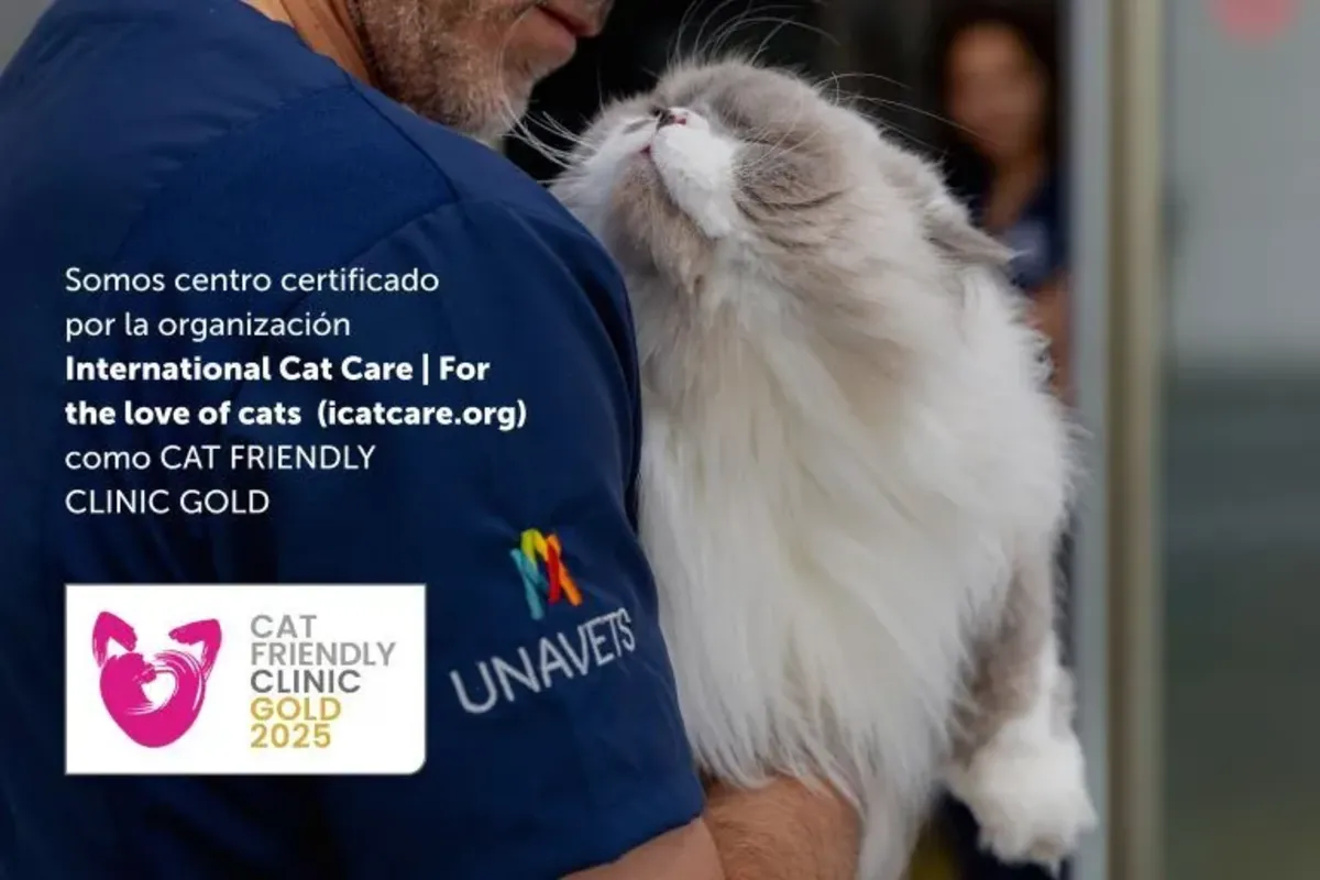 CalviàVet 兽医诊所 - Madrid