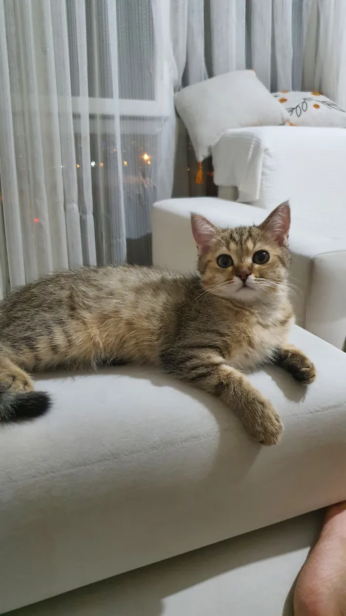 Petit mignon joueur