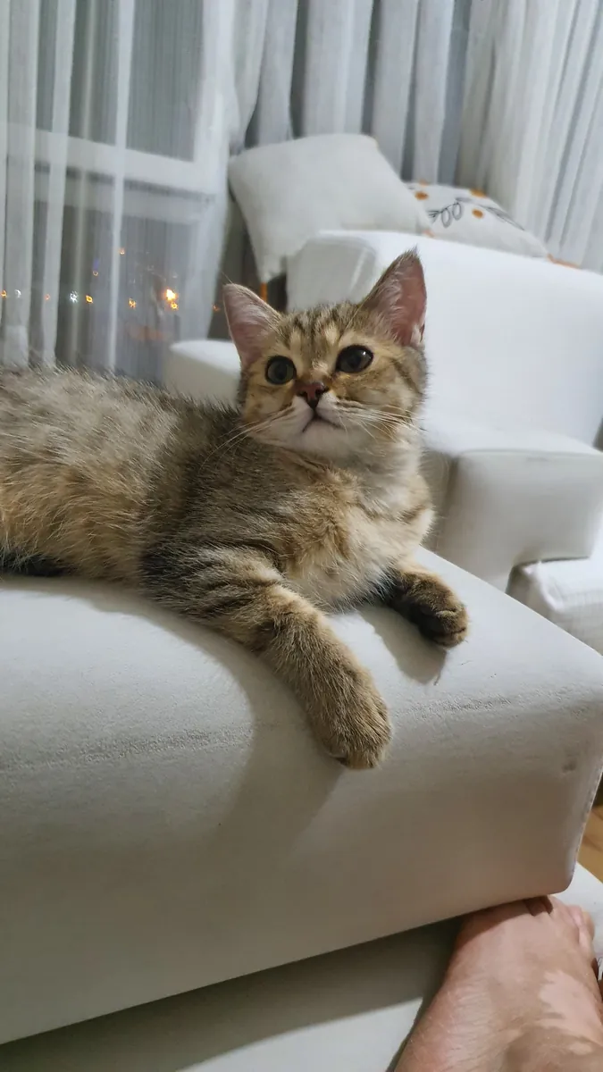 Petit mignon joueur