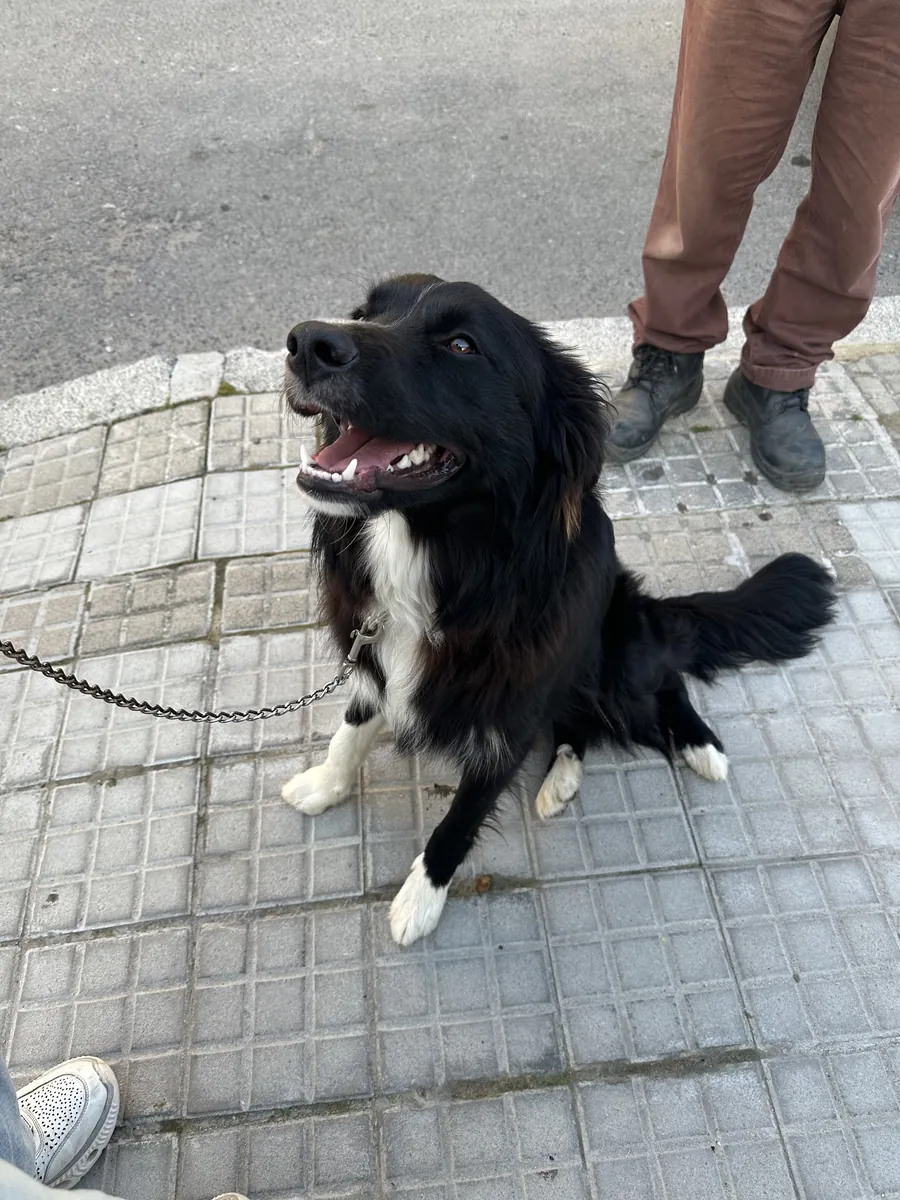 Joven cariñosa 