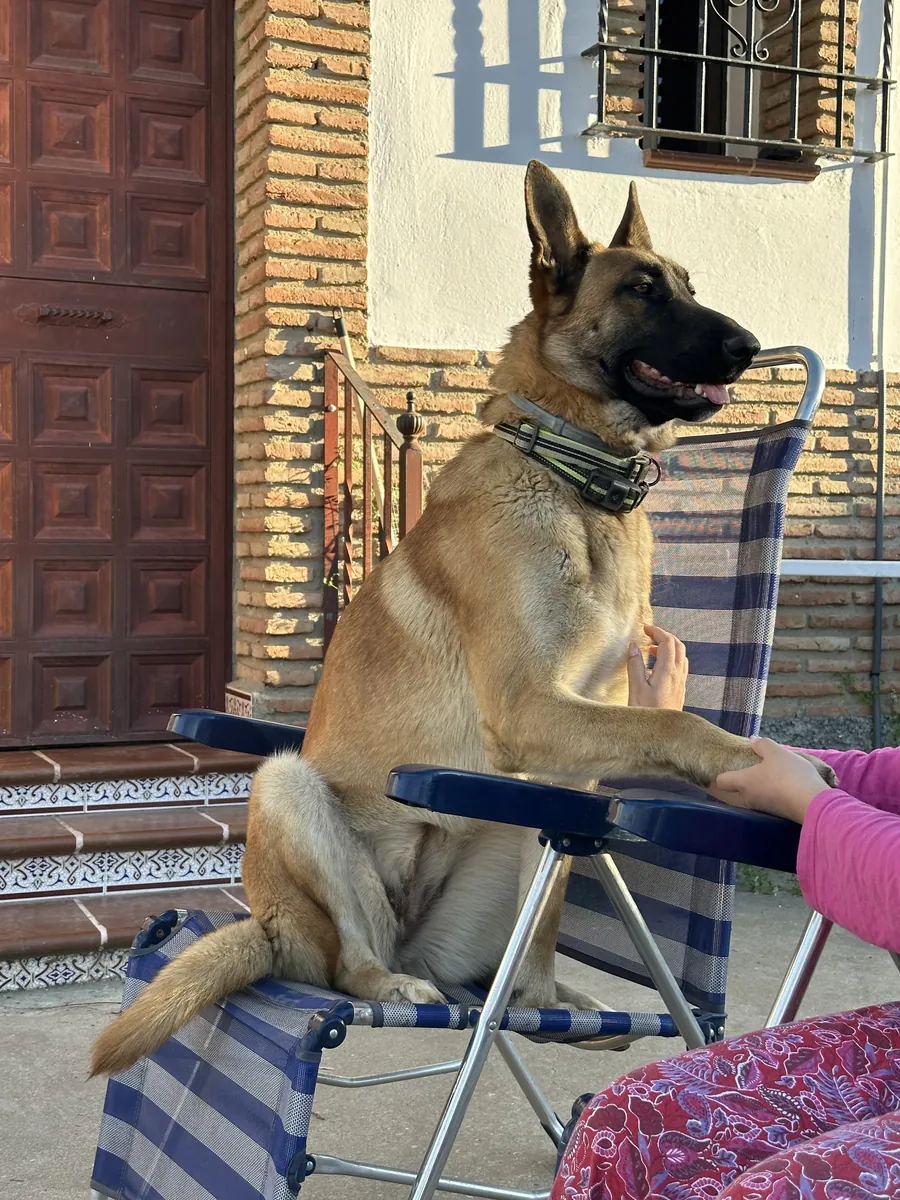 Très affectueuse et fidèle