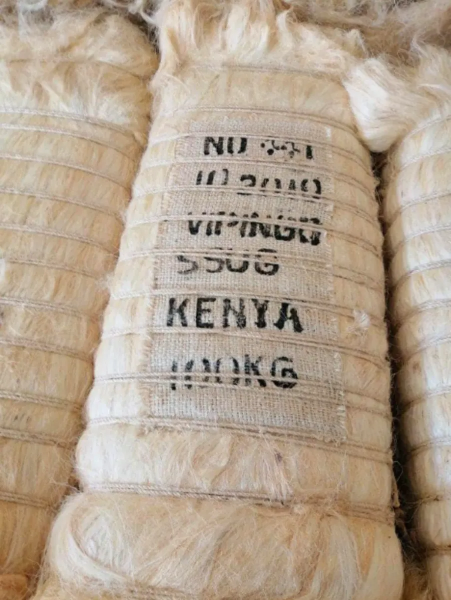 Vente de fibre de sisal kényane pour exportation.
