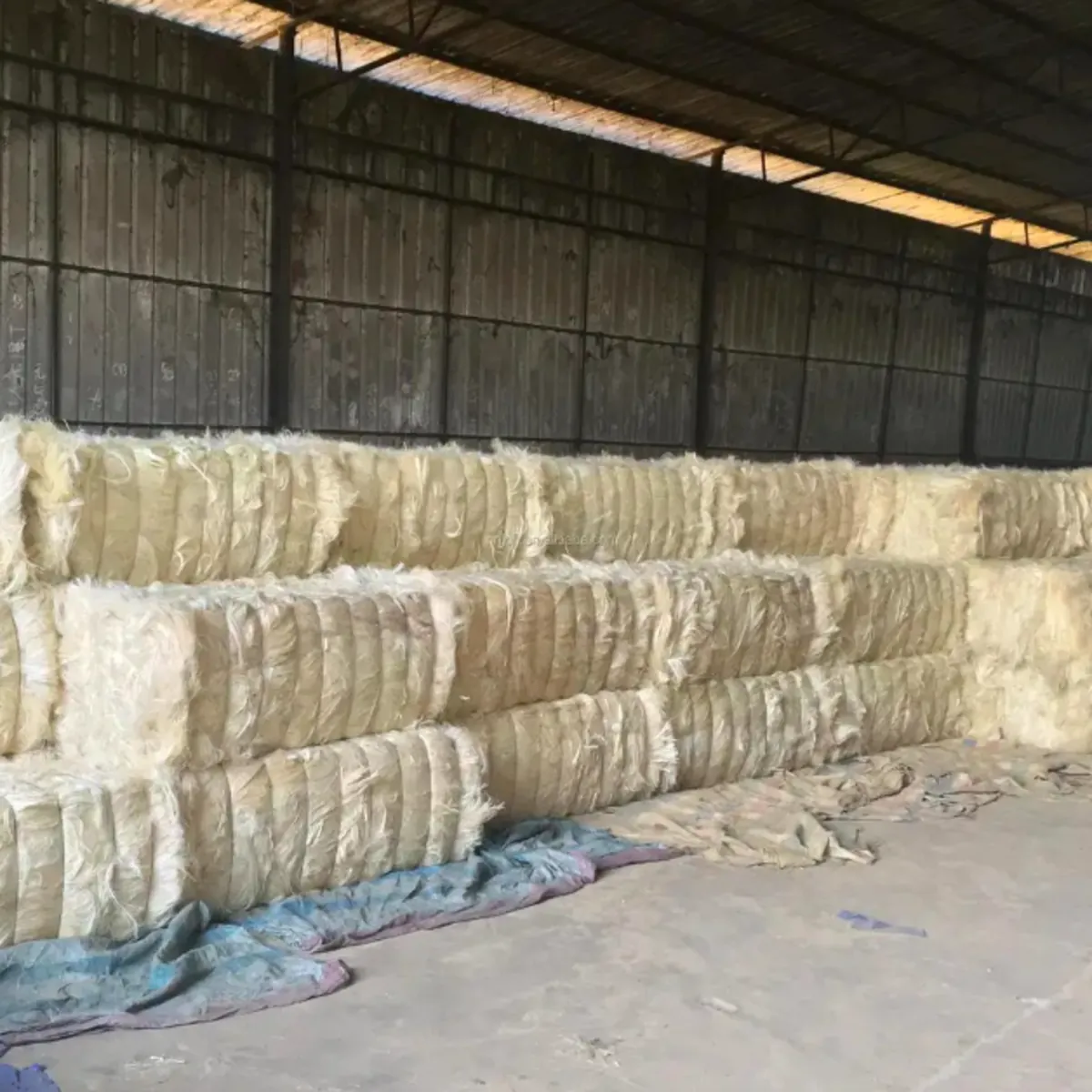 Vente de fibre de sisal kényane pour exportation.