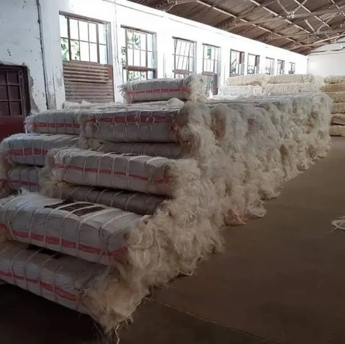 Vente de fibre de sisal kényane pour exportation.