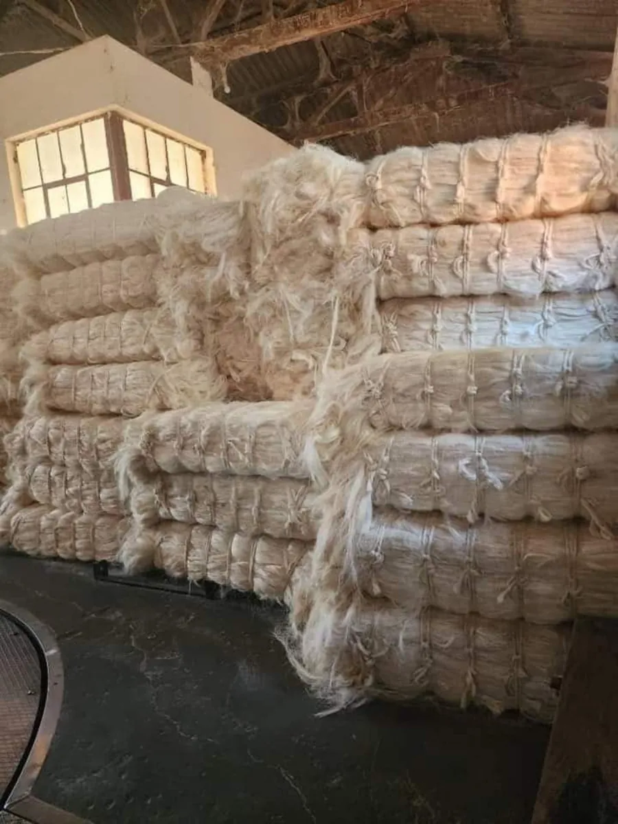 Vente de fibre de sisal kényane pour exportation.