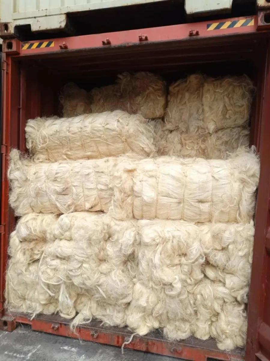 Vente de fibre de sisal kényane pour exportation.