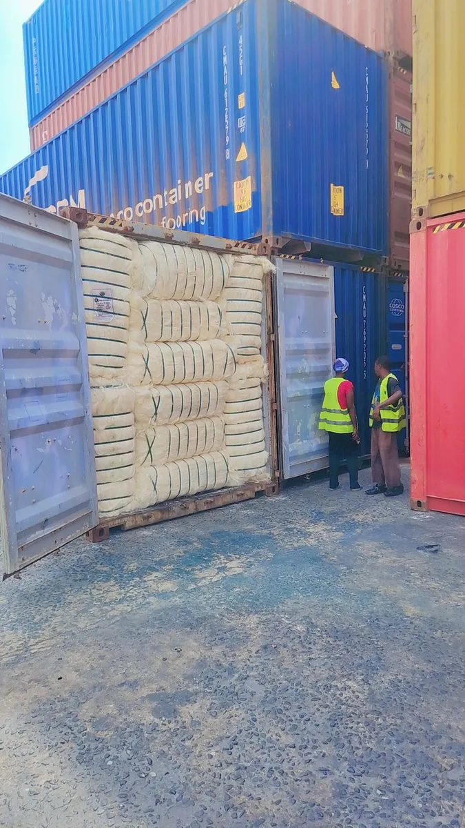 Vente de fibre de sisal kényane pour exportation.