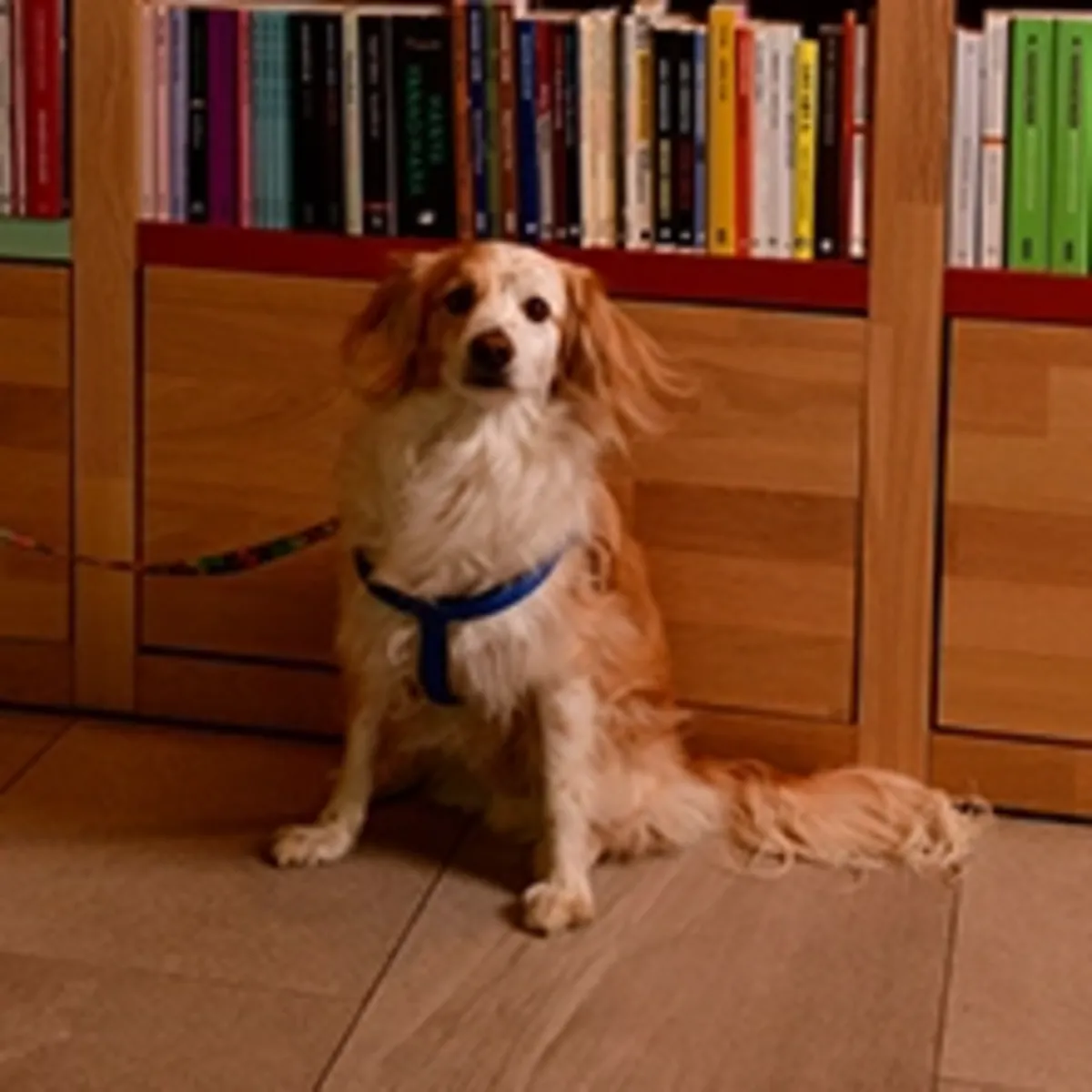 与众不同 - Antalya