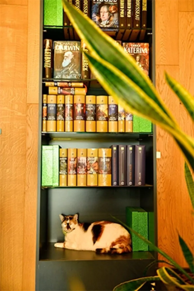 与众不同 - Antalya