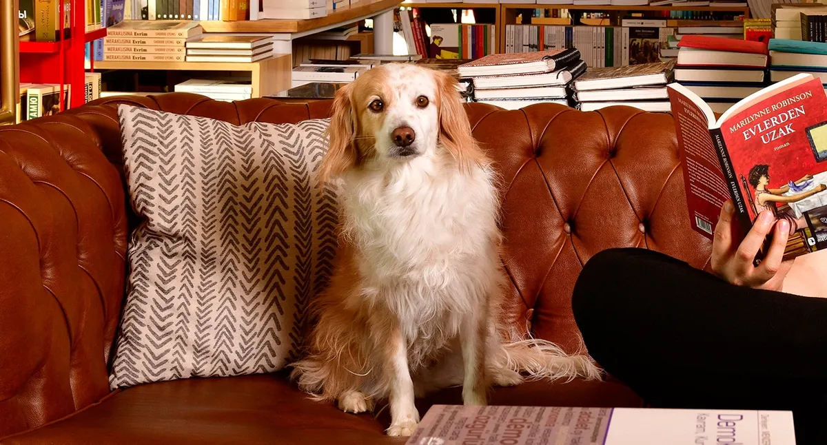 与众不同 - Antalya