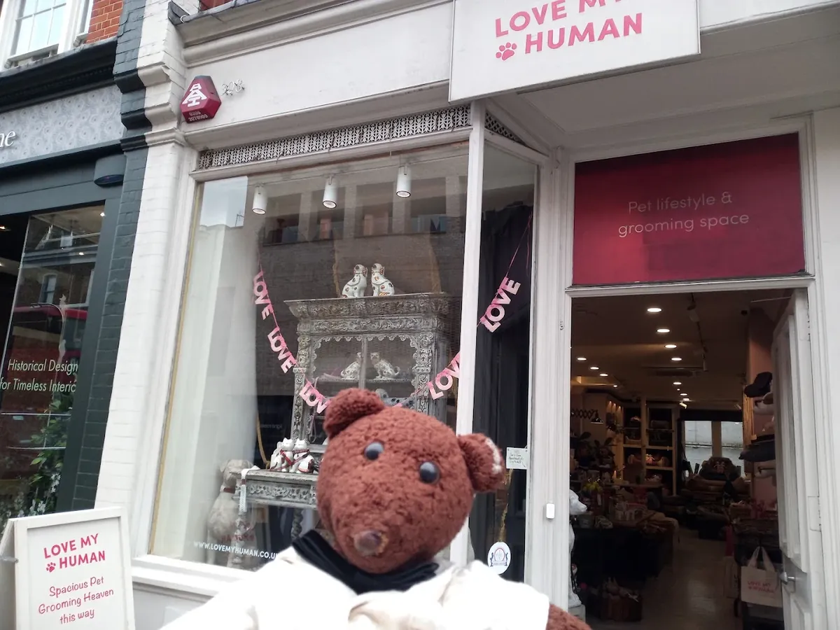 爱我的人类——切尔西狗狗美容 - London