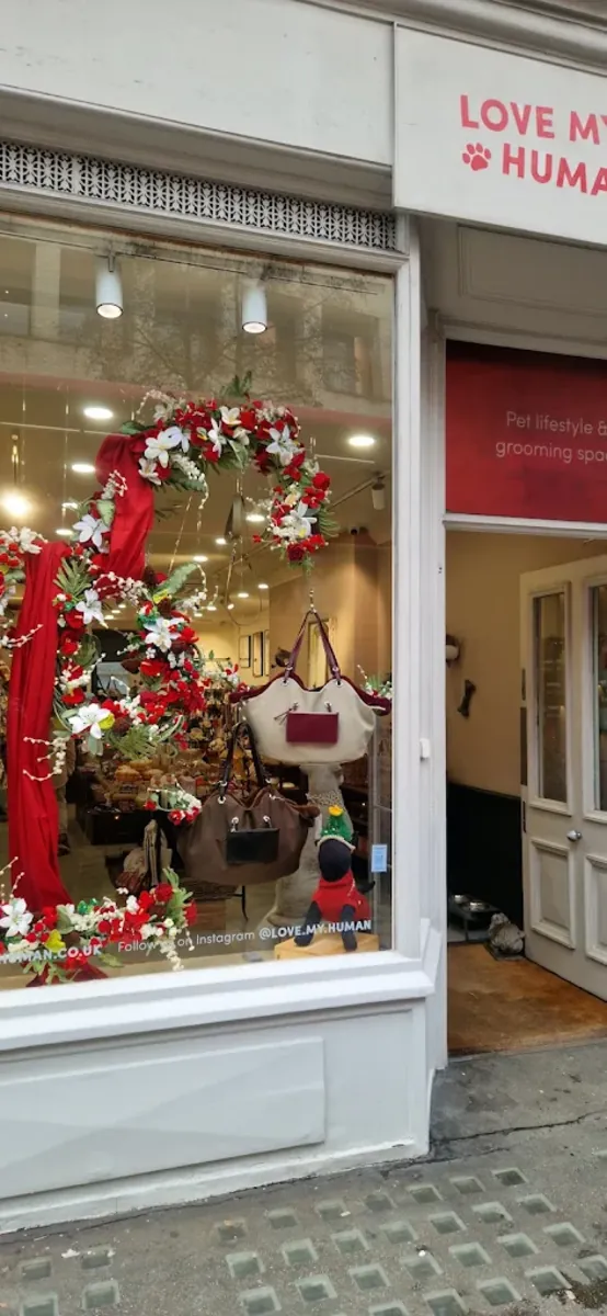 爱我的人类——切尔西狗狗美容 - London