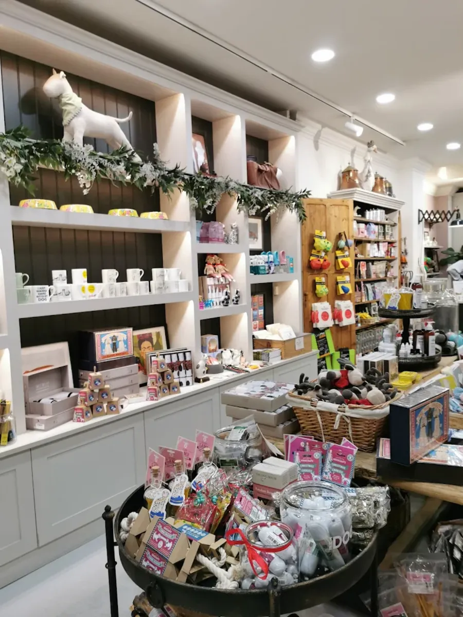 爱我的人类——切尔西狗狗美容 - London