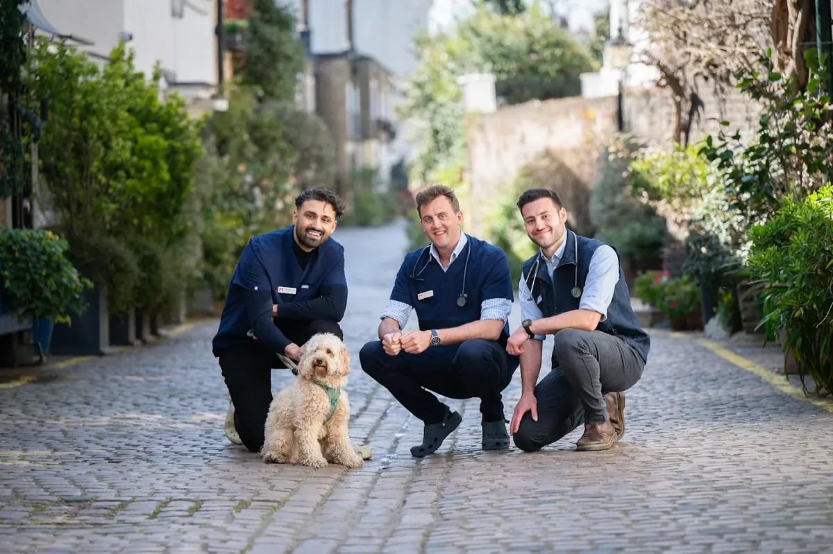 伦敦肯辛顿经验丰富的兽医诊所 - London