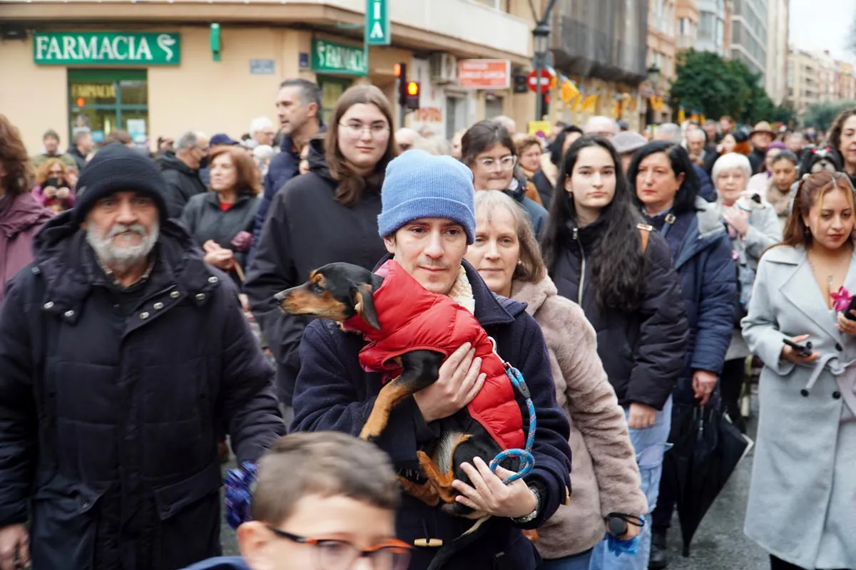 2026年巴塞罗那宠物节