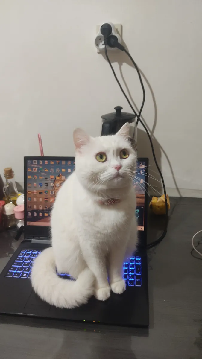 Lila