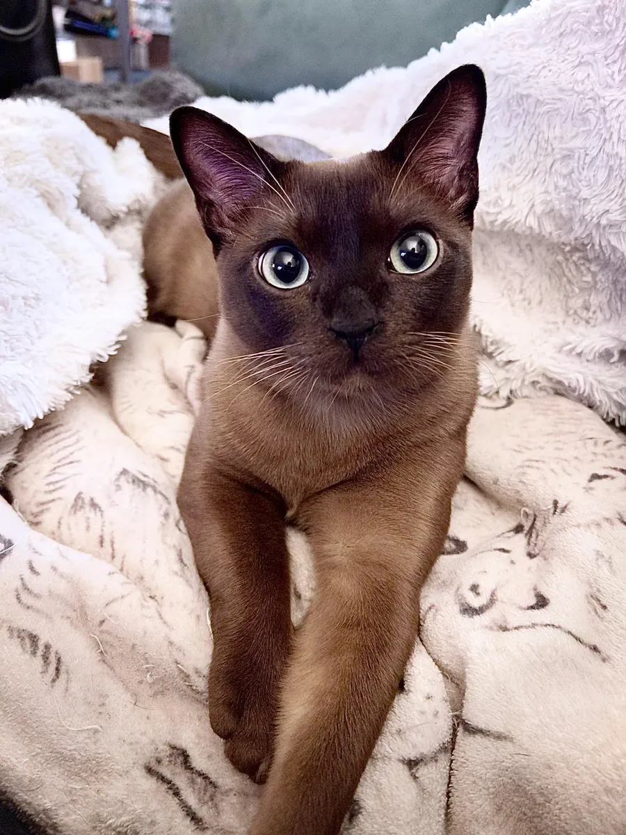 Being home alone isn't good at all, so I'm quitting.