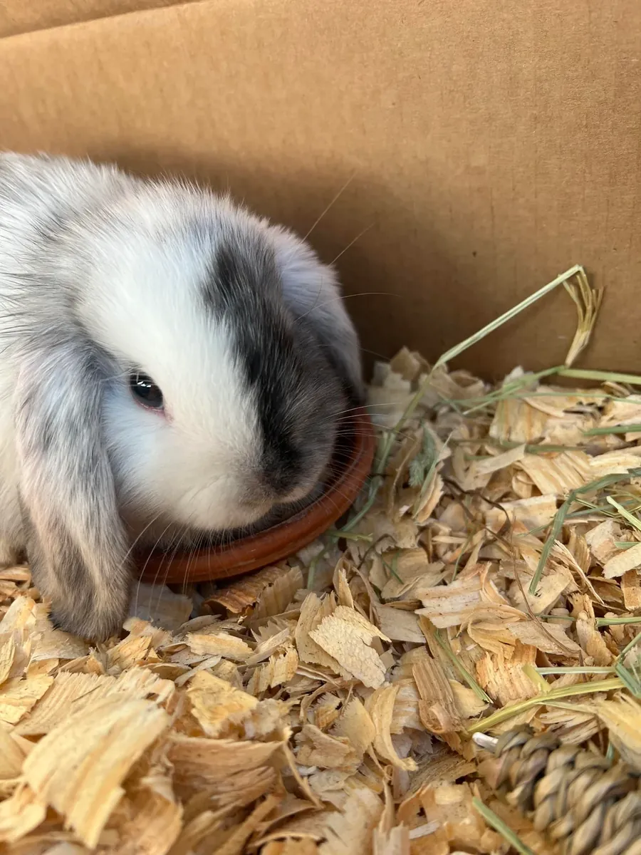 The maintenance wasn't as easy as I thought.