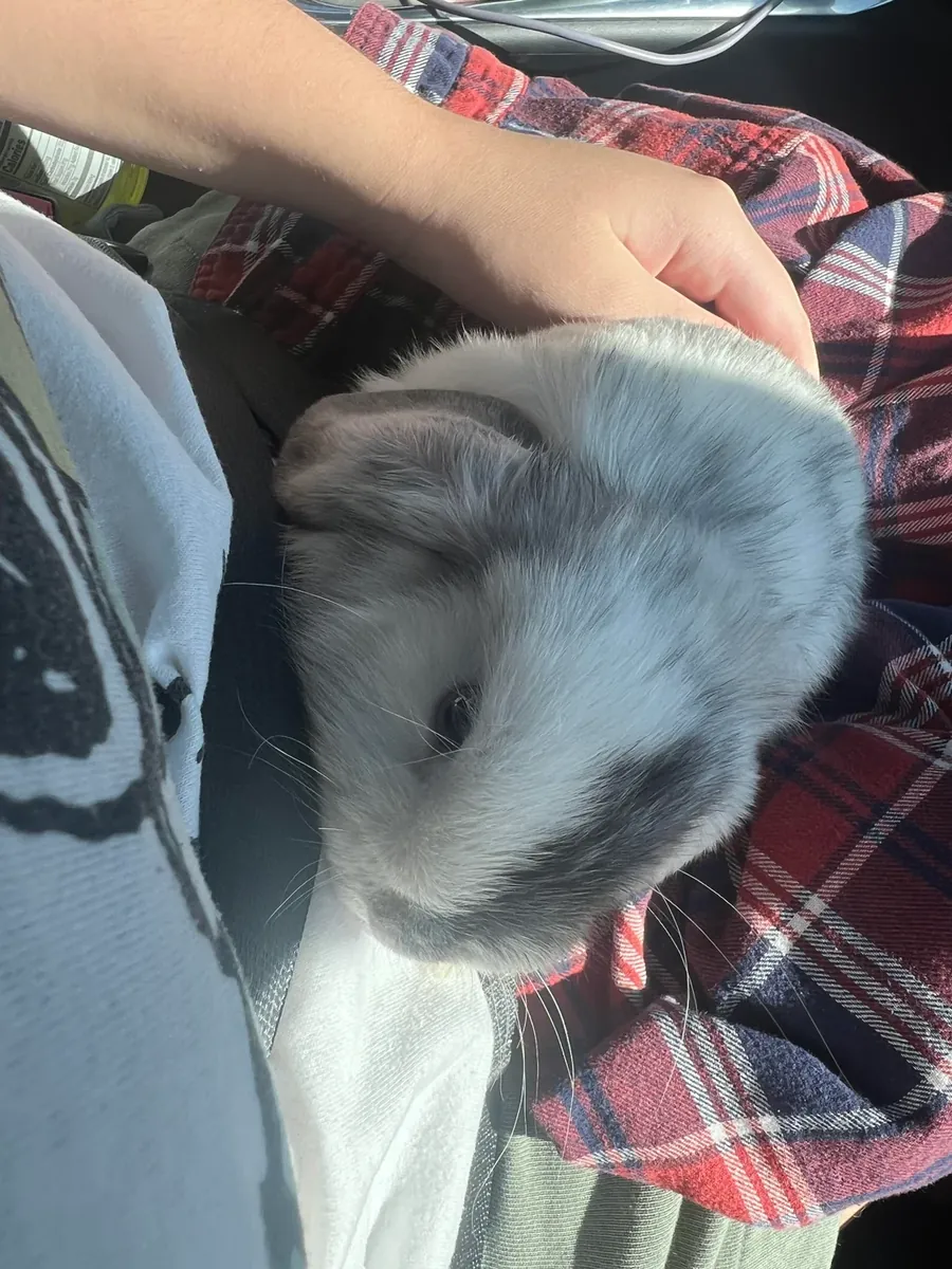 The maintenance wasn't as easy as I thought.