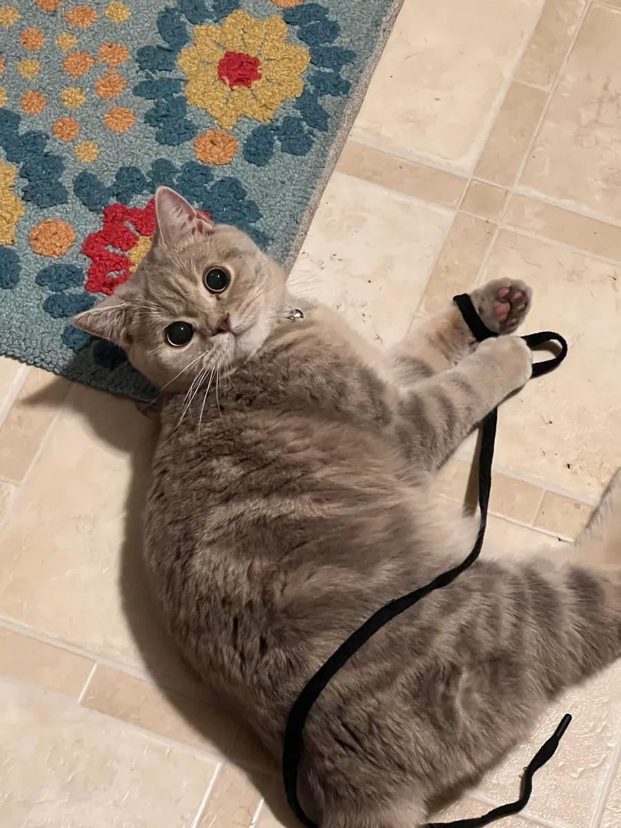 There aren't many problems, but I can't look at it.