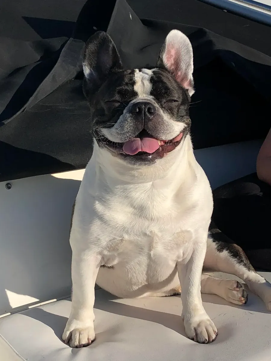 It didn't go as I expected when I bought it, I'm leaving it for a fee.