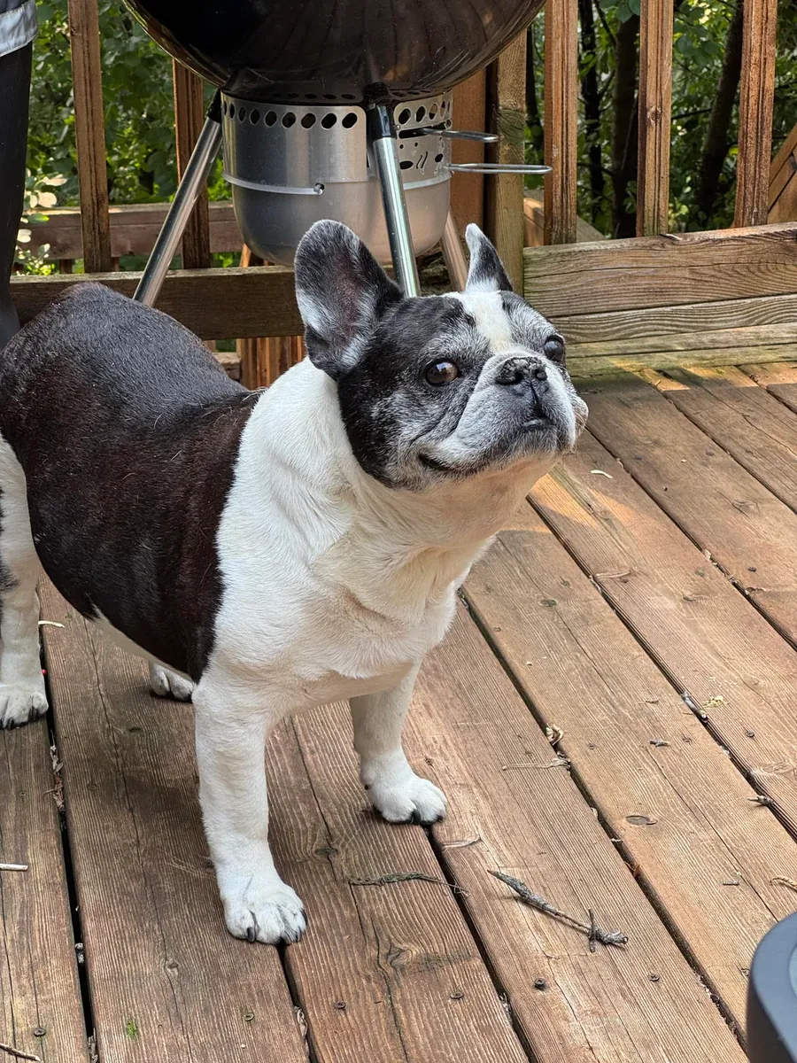 It didn't go as I expected when I bought it, I'm leaving it for a fee.