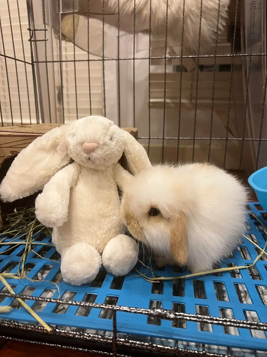 I thought it was easy to maintain, but it wasn't.