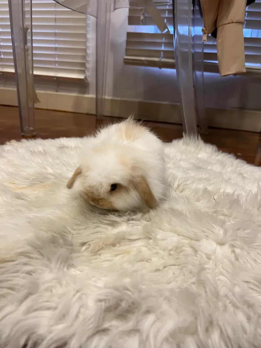 I thought it was easy to maintain, but it wasn't.