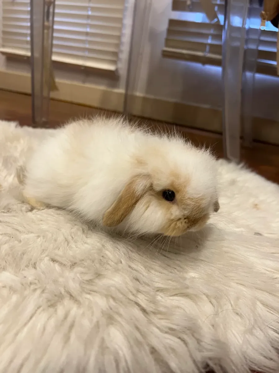 I thought it was easy to maintain, but it wasn't.