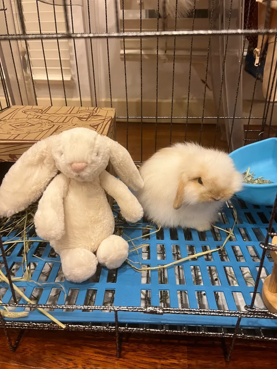 I thought it was easy to maintain, but it wasn't.