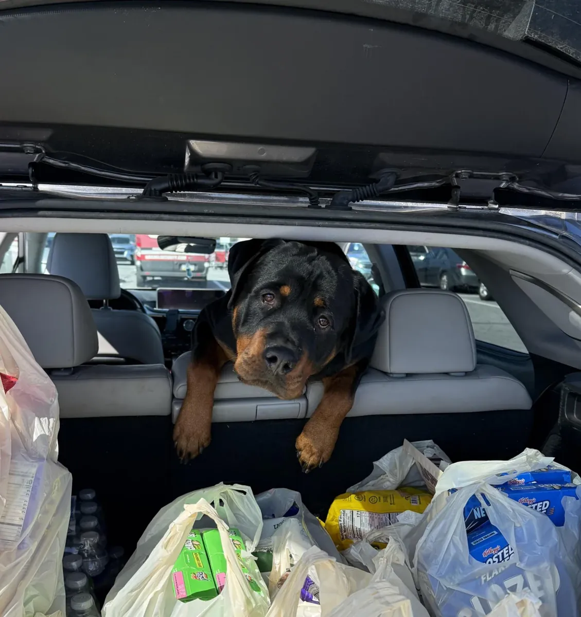 not what I expected honestly