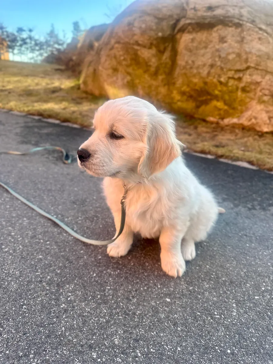 i’m barely home these days